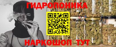 СК Пугачёв