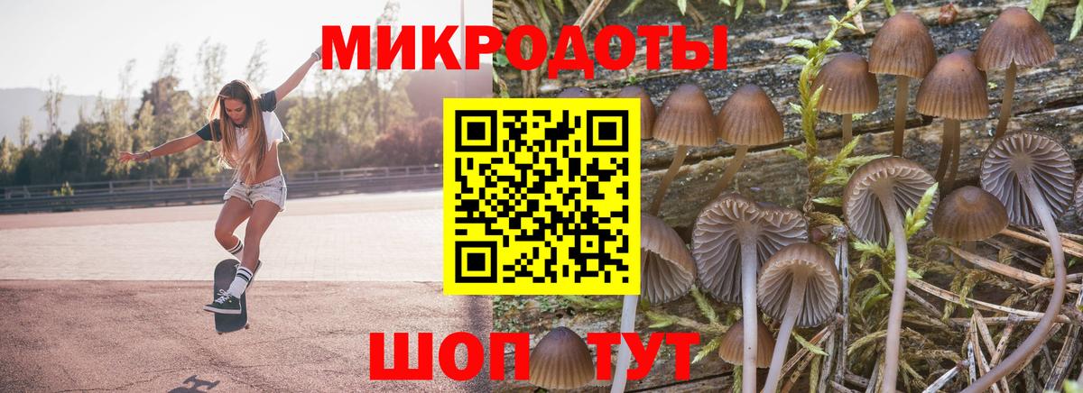 Псилоцибиновые грибы Psilocybine cubensis  даркнет сайт  Алатырь  Вход с VPN  Псилоцибиновые грибы мухоморы 